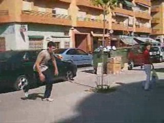 ALEX... street stunt