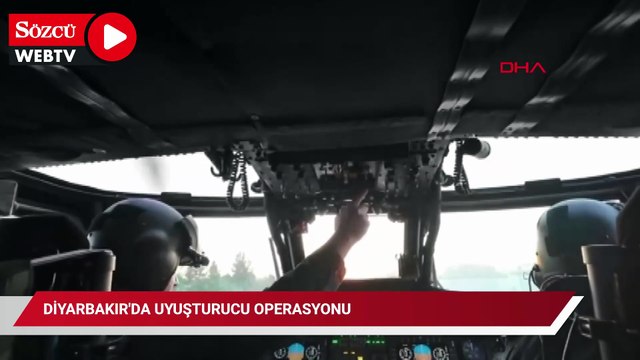 Diyarbakır'da, 4 milyon 459 bin kök kenevir ve skunk ile 150 kilo esrar ele geçirildi