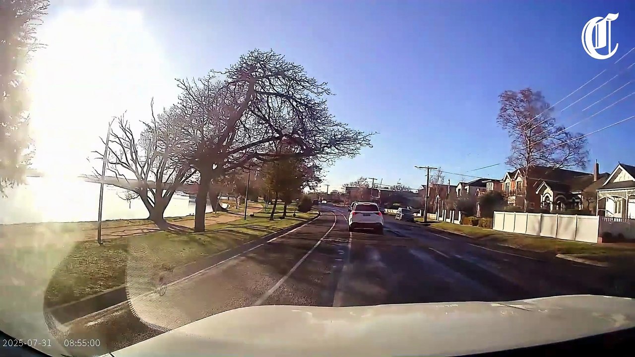 Swan hit on Wendouree Parade | July 31, 2025 | The Courier