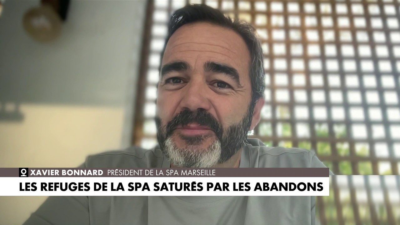 Xavier Bonnard : «Nos refuges sont remplis, il y a beaucoup plus d’abandons que d’adoptions»