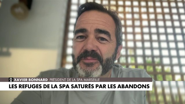 Xavier Bonnard : «Nos refuges sont remplis, il y a beaucoup plus d’abandons que d’adoptions»