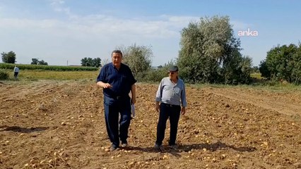 Milletvekili Gürer: Türkiye’de üretim planlaması yok