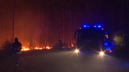 Le Portugal lutte contre plusieurs feux de forêt