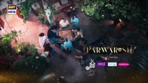 Parwarish Episode 33