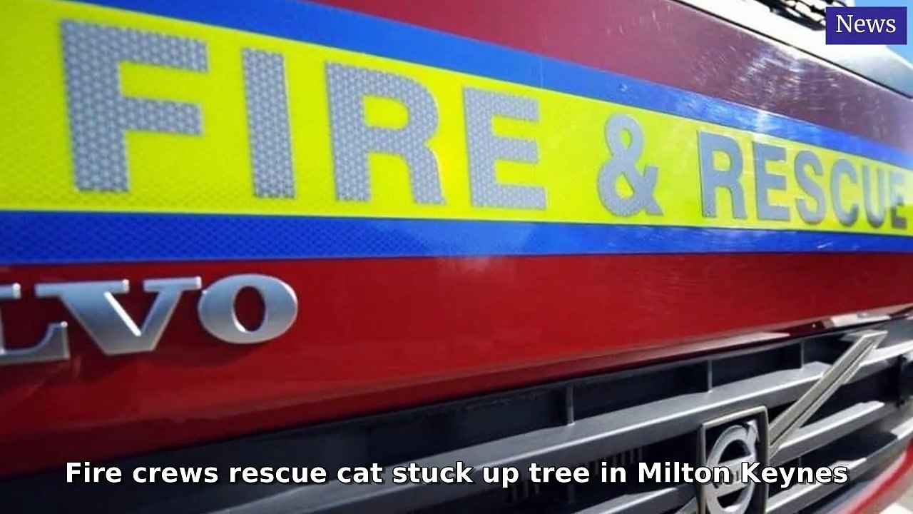 Milton Keynes Citizen Morning Update 31 July, 2025