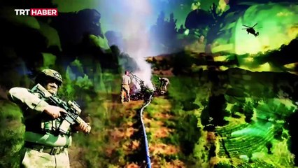 Diyarbakır'da 4 milyon 459 bin kök kenevir ve skunk ele geçirildi