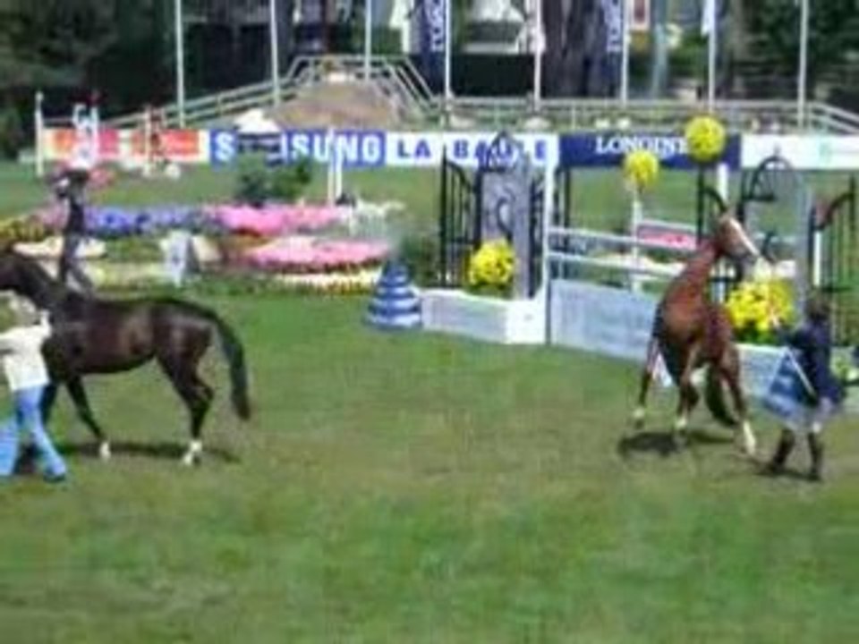 Poulains 3 ans La Baule 2008