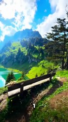 Which of these places has your vibe.