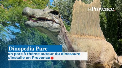 Dinopedia Parc, un parc à thème autour des dinosaures s’installe en Provence