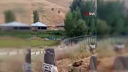 Mezar başındaki vefa nöbeti tüm Türkiye'yi ağlattı...