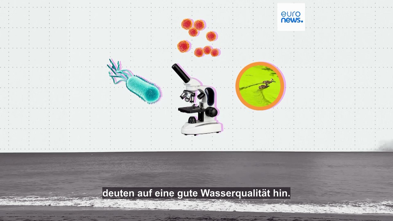 Wo sind die saubersten badeorte in europa?