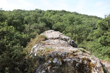 La balade de Julian et Merlin