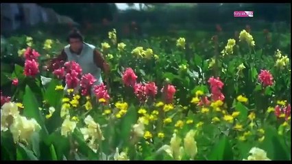 Dekho Na Dekho Mujhe/Laalchee--1996/Udit Narayan, Kavita Krishnamurthy