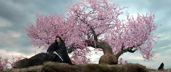 Hoa Sơn Luận Kiếm - Cửu Âm Chân Kinh Tập 5 Thuyết minh