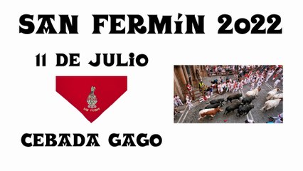 11 - julio - 2022 (Cebada Gago)