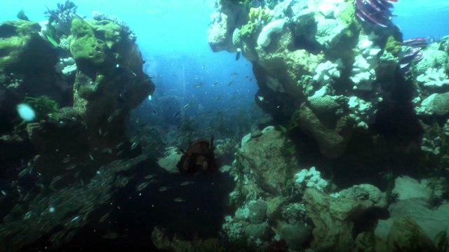 Ce nouveau MMO proposera des batailles comme dans Le Seigneur des Anneaux, mais il y a quand même un très gros hic...