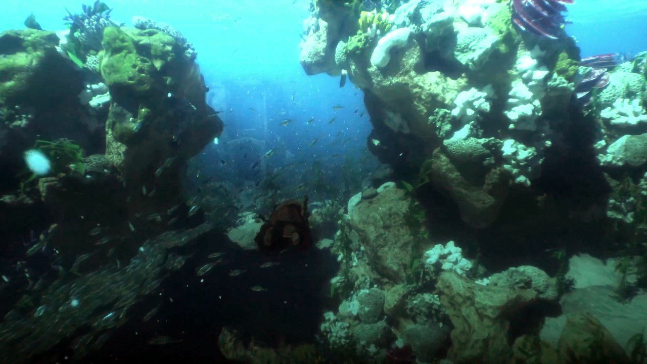 Ce nouveau MMO proposera des batailles comme dans Le Seigneur des Anneaux, mais il y a quand même un très gros hic...