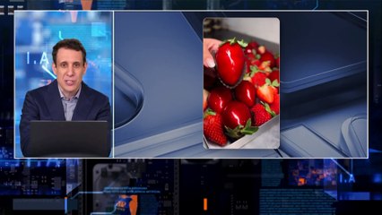 Samy Dana: Vendas do “Morango do Amor” disparam 15.000% no RJ | IA NEWS