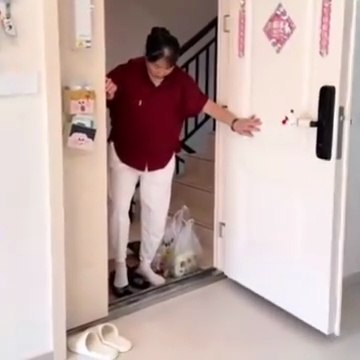 Non-Stop Laughs 2025 😂 | Funniest Moments of the Year