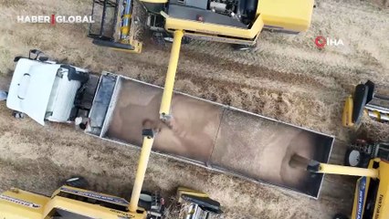 Biçerdöverler aynı anda tarlalara girdi: Binlerce dekar arazide hasat sürüyor