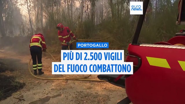 Decine di incendi in Portogallo: le immagini delle operazioni dei vigili del fuoco