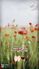 ربِّي أخْتَر لِي وَلا تُخيّرنِي #اكسبلور #islamicvideo #islamicscholar #حالات_واتس #دعاء