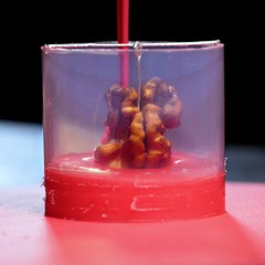 How to Make a Unique Pendant from a Real Walnut 🥜✨