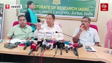 কৃষকলৈ সু-খবৰ দিলে অসম কৃষি বিশ্ববিদ্যালয়ে, খৰাং বতৰতো কৰিব পাৰিব খেতি