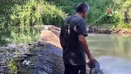 Karadeniz'in gizli cennetinde korkutan görüntüler!