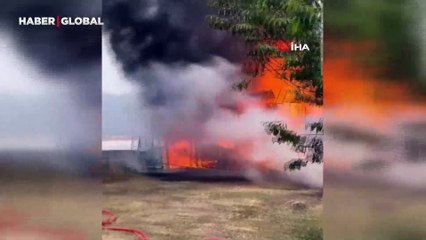 İspir'de ormanlık alanda yangın