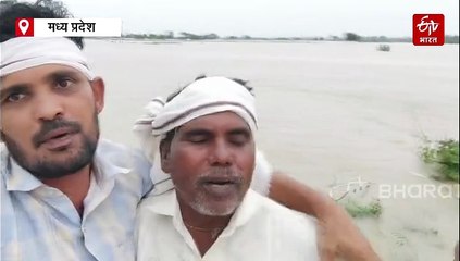 अशोकनगर में बाढ़ से फसल नष्ट, लोकगीत गाकर किसानों की अपील