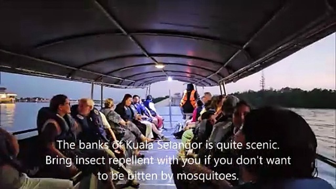 Kuala Selangor Fireflies and Blue Tears Tour with Dinner - Malaysia