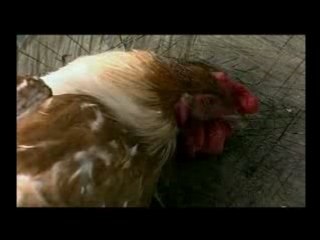 Rap Dordogne Ghetto Vermeil Mix P & B