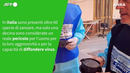Zanzare e virus: cosa c’è da sapere sulle specie che vivono anche in Italia