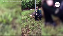 Pies uwiązany do słupa. Jego reakcja chwyta policjantkę za serce (wideo)