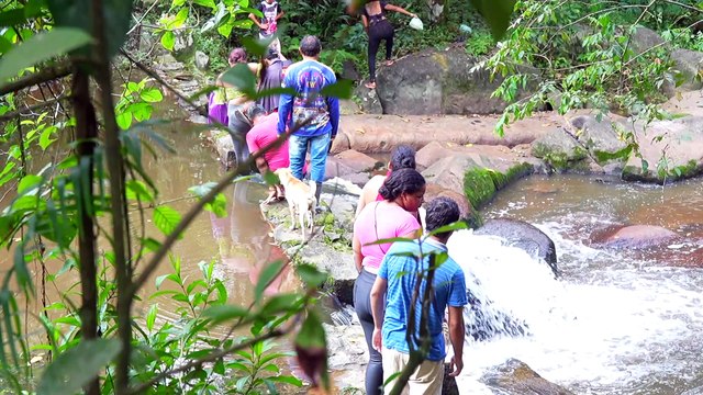 Desaparecimento misterioso em Camaragibe: jovens sumidos há 15 dias mobilizam buscas na Mata do Privé