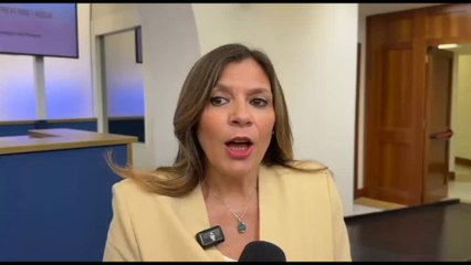 Rischio idrogeologico, Siclari (Ispra): territorio monitorato