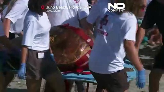 GUARDA: 'Pennywise' la tartaruga marina rilasciata nell'Atlantico