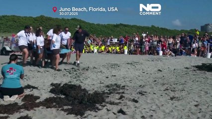 بدون شرح؛ بازگرداندن لاک‌پشت دریایی مجروح به اقیانوس اطلس