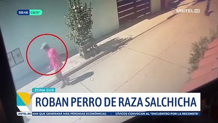 Capturan a la mujer que, en presencia de sus hijos, robaba perros del interior de viviendas