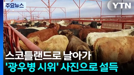 스코틀랜드로 날아가 '광우병 시위' 사진으로 설득 / YTN