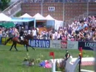 Hoorn et Blauwendraad's O'Bri la baule 2008