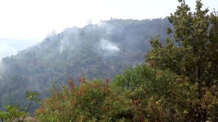 "Optimismo" en incendio de Cuevas del Valle (Ávila), que ha duplicado el operativo