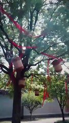 The Hidden Edge Of Grace – FULL HD MOVIE [Eng Sub]