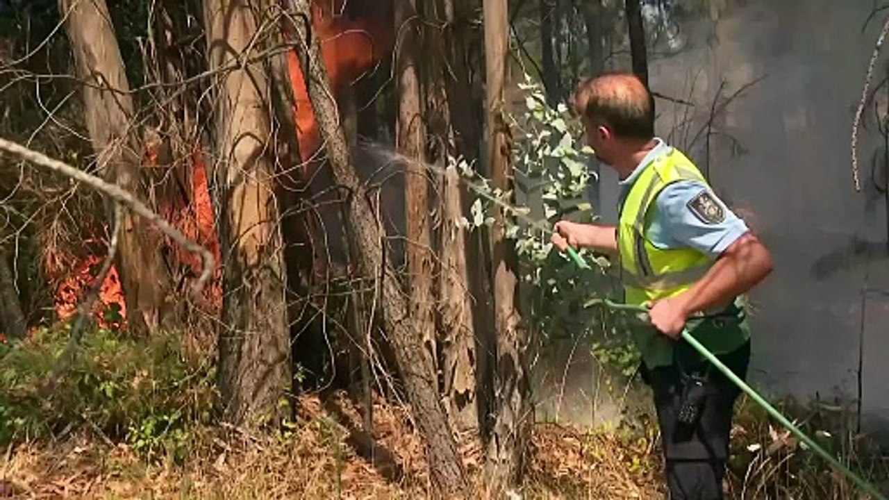 Portugal kämpft mit großen Waldbränden bei extremer Sommerhitze