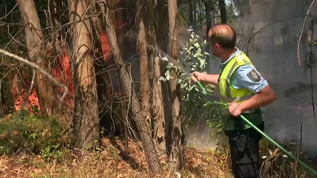 NO COMMENT: Portugal lucha contra grandes incendios forestales durante una intensa ola de calor
