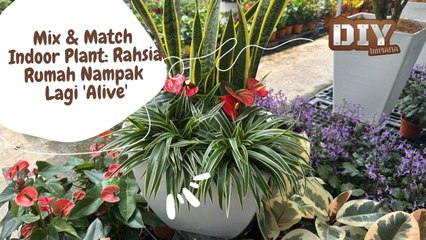 Mix & Match Indoor Plant: Rahsia Rumah Nampak Lagi 'Alive'