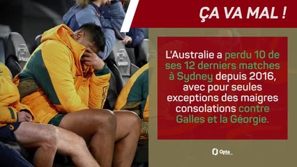 Lions Britanniques et Irlandais - Un match pour l'histoire : les prédictions d'Opta