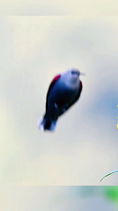 True Beauty of Rural India | Complete Village Life & Farming Tour