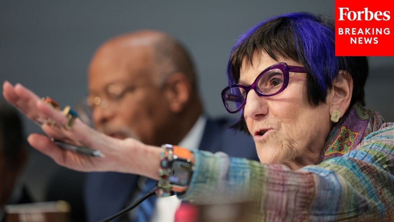 Rosa DeLauro Shreds Bill: It 'Does Not Fight Waste, Fraud, And Abuse, But Embraces It'